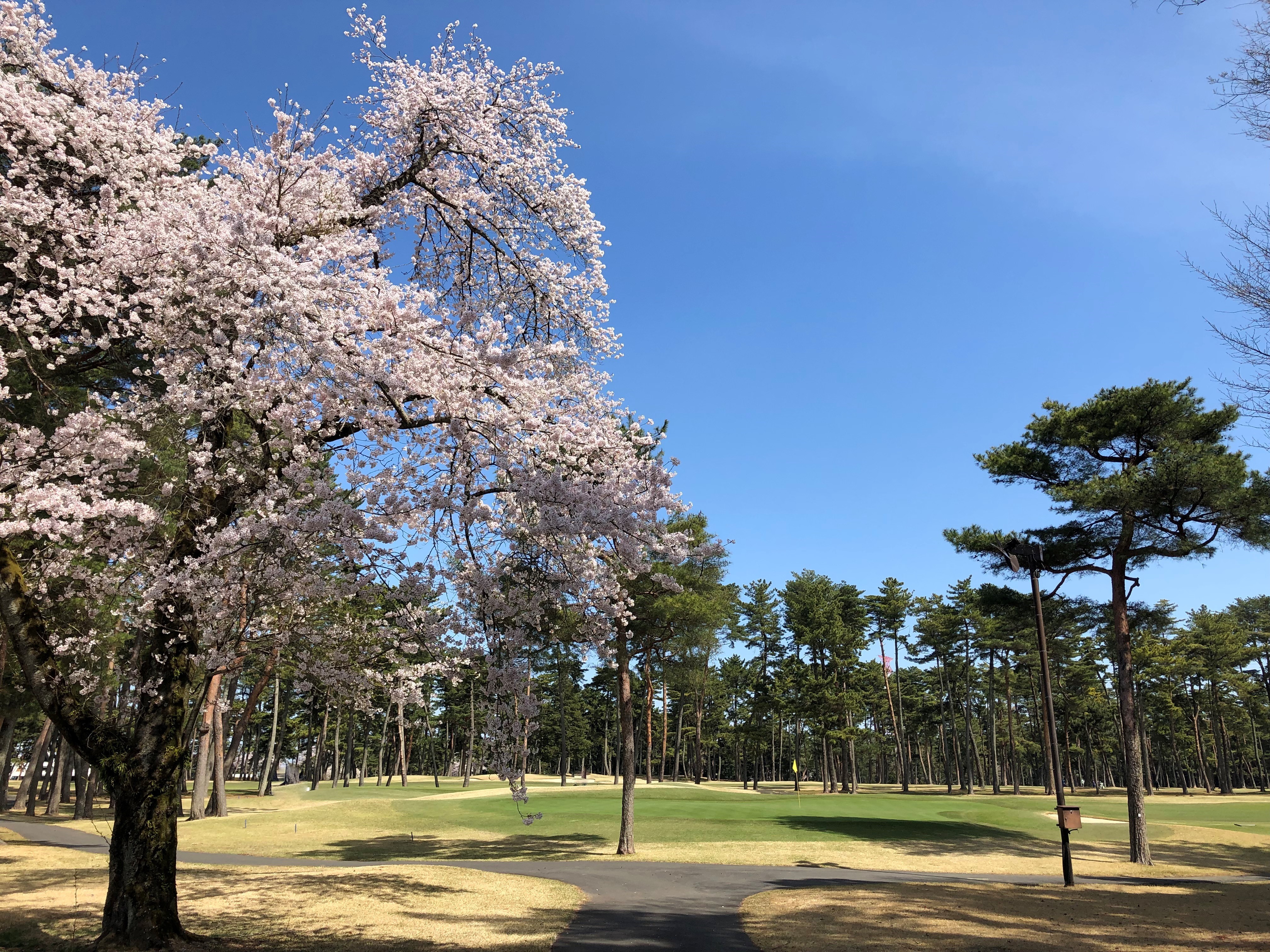 【お知らせ】2025年3月JLPGAツアー開催決定