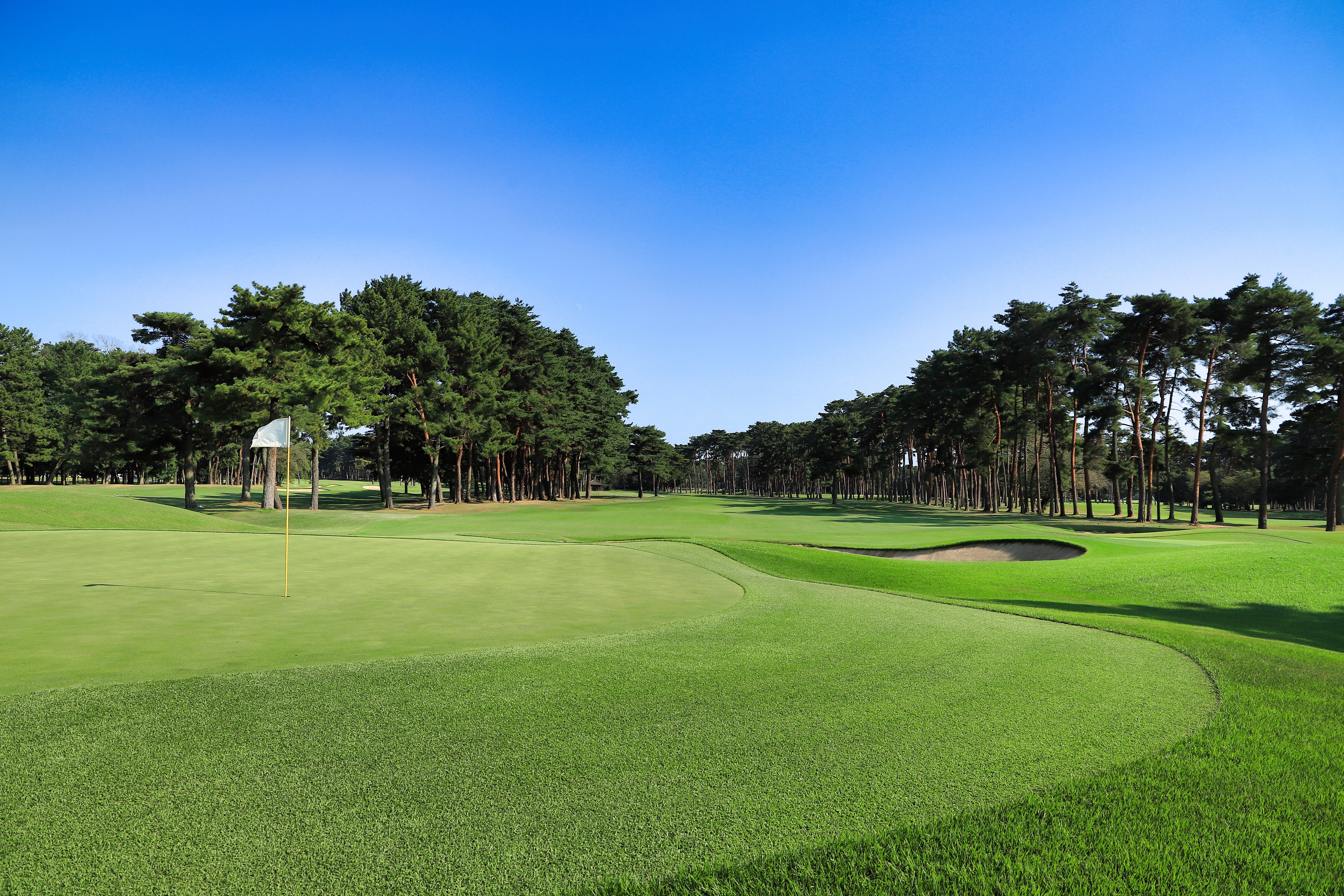 【使用グリーン】スケジュール