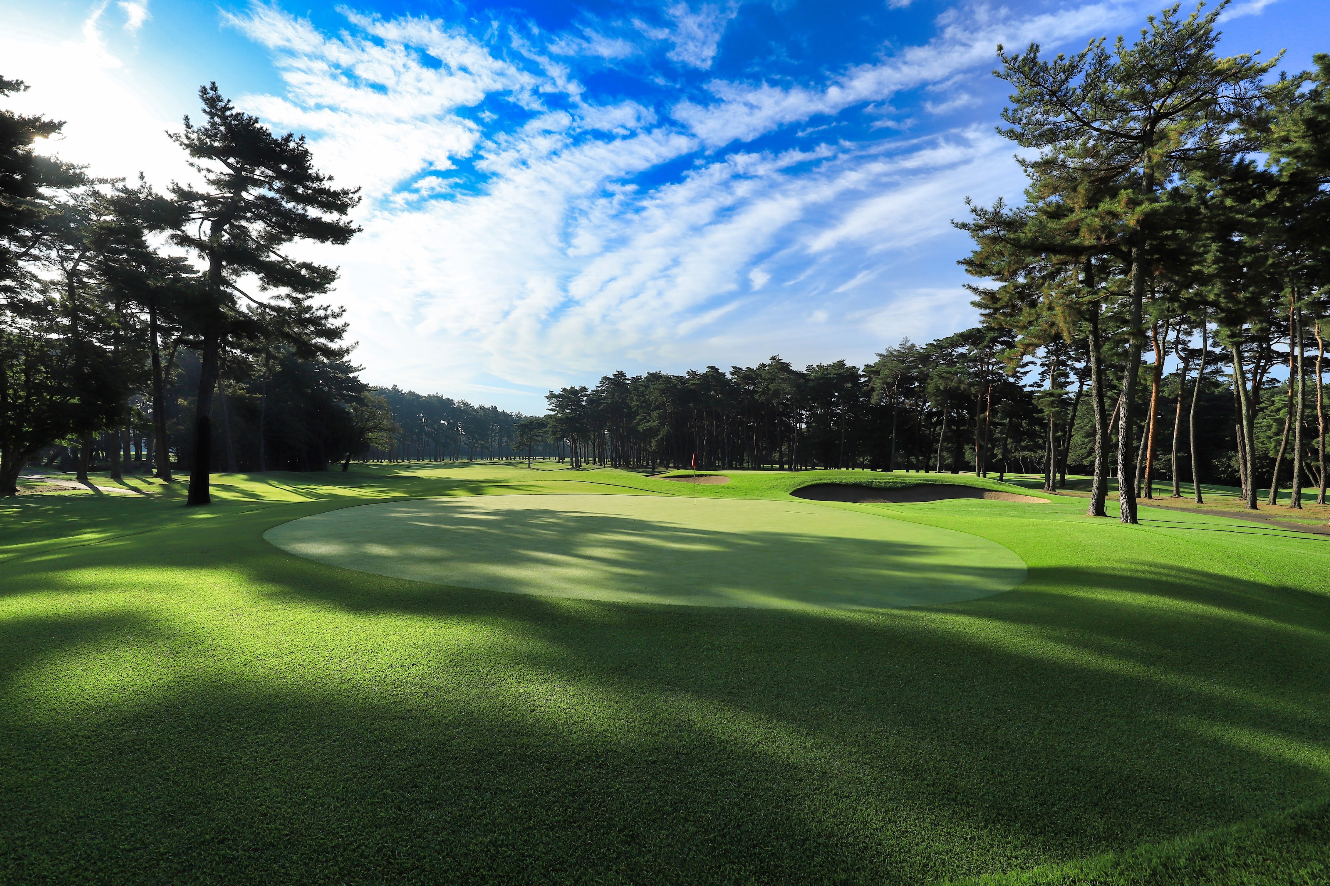 【使用グリーン】スケジュール