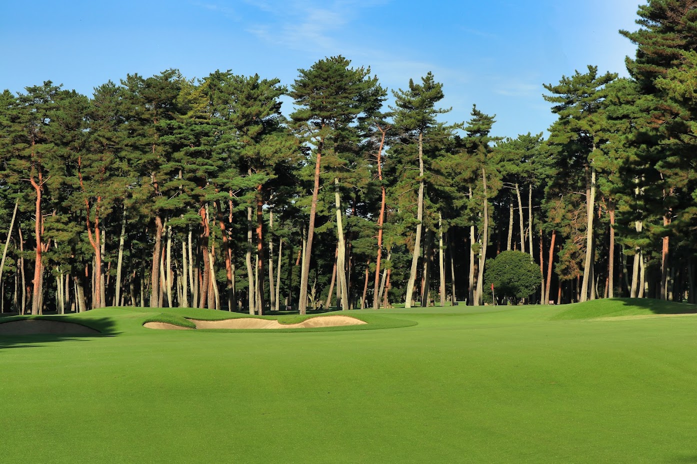 【Reservation】ご予約について