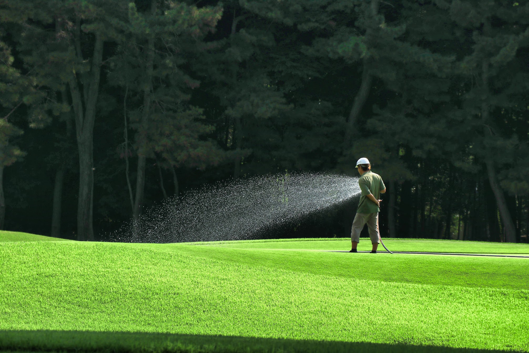 【使用グリーン】スケジュール
